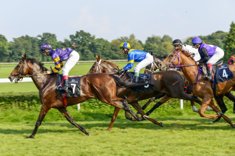 Race horses on the Partynice track.