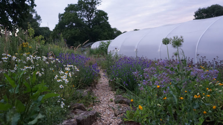 plaw hatch farm garden sharpthorne 768x432