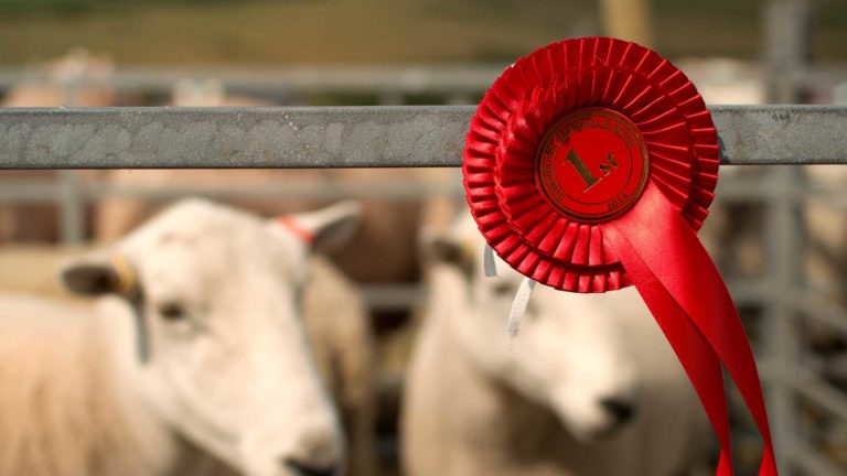 Country-Show-505773241 Country-Show-505773241