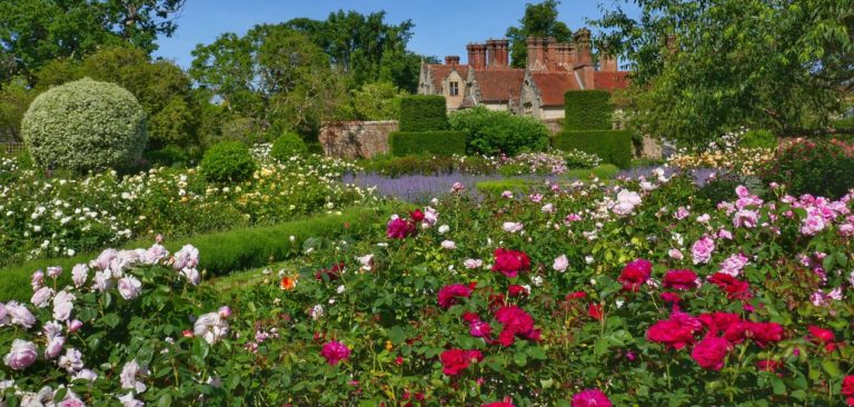 a little bit about Borde Hill Gardens 1 768x366