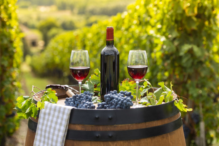 Vineyard 2400x1600 1049837208 768x512