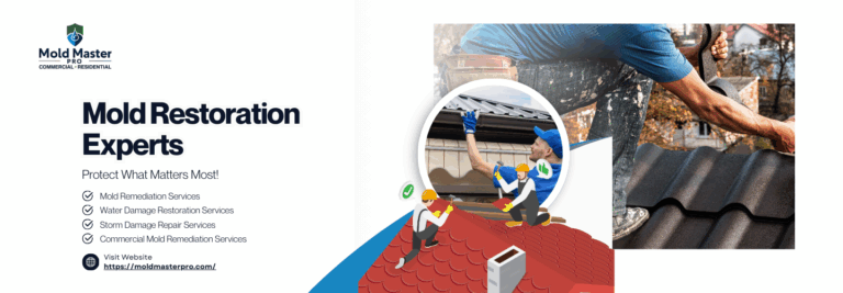 Mold Master Pro Cover photo 768x267